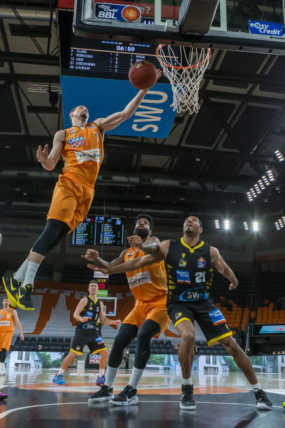 他们共同的 他们共同的